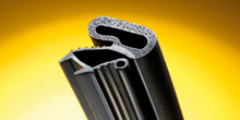 Co-extrusion Co-extrusion